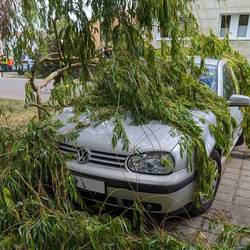 Einsatzbericht vom Donnerstag, dem 16.05.2024