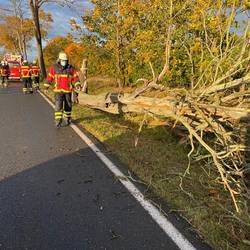 Einsatzbericht vom Donnerstag, 21.10.2021