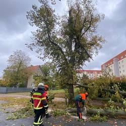 Einsatzbericht vom Donnerstag, 21.10.2021