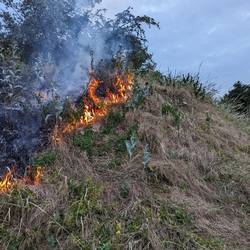 Einsatzbericht vom Donnerstag, 29.06.2023