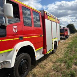Einsatz vom Donnerstag, dem 10.07.2025