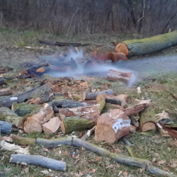 Einsatzbericht vom Sonntag, dem 08.03.2026