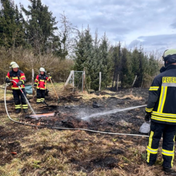 Einsatzbericht vom Mittwoch, dem 11.03.2026
