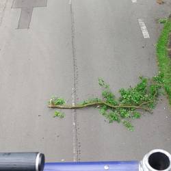 Einsatzbericht vom Mittwoch, dem 20.05.2026